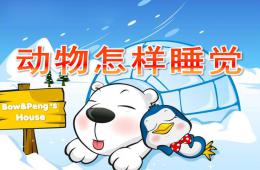 大班科學公開課動物怎樣睡覺PPT課件