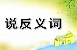 學前班說反義詞PPT課件