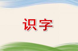 幼兒園學(xué)前班識(shí)字PPT課件