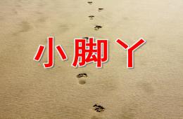 中班健康可愛的小腳丫PPT課件