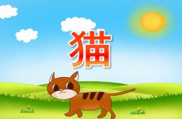 小班科學貓PPT課件