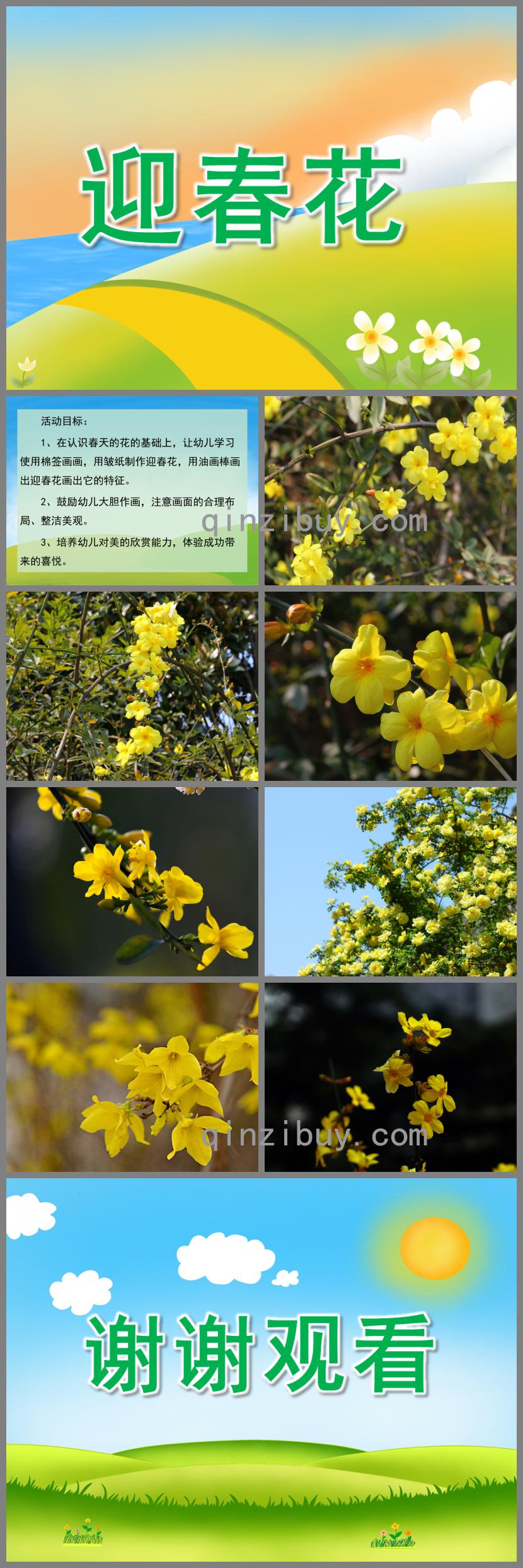 小班美術迎春花PPT課件