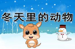 大班科學冬天里的動物PPT課件