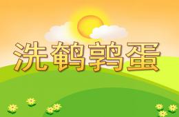 小班科學(xué)洗鵪鶉蛋PPT課件
