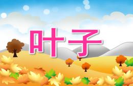 小班科學葉子PPT課件