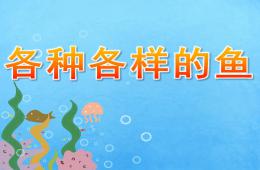大班各種各樣的魚PPT課件