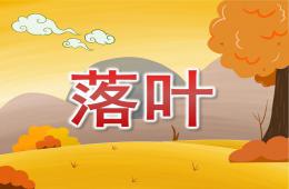 大班語言活動落葉PPT課件