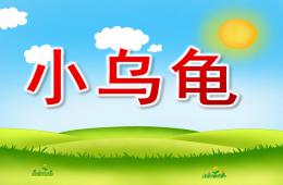 小班音樂小烏龜PPT課件歌曲