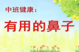 中班健康有用的鼻子PPT課件