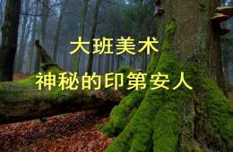 大班美術(shù)神秘的印第安人PPT課件