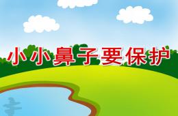 小班小小鼻子要保護(hù)PPT課件