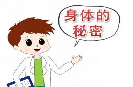 大班健康身體的秘密PPT課件