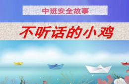 中班安全故事不聽話的小雞PPT課件