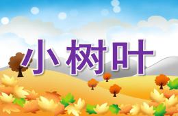 大班歌曲小樹葉PPT課件音樂