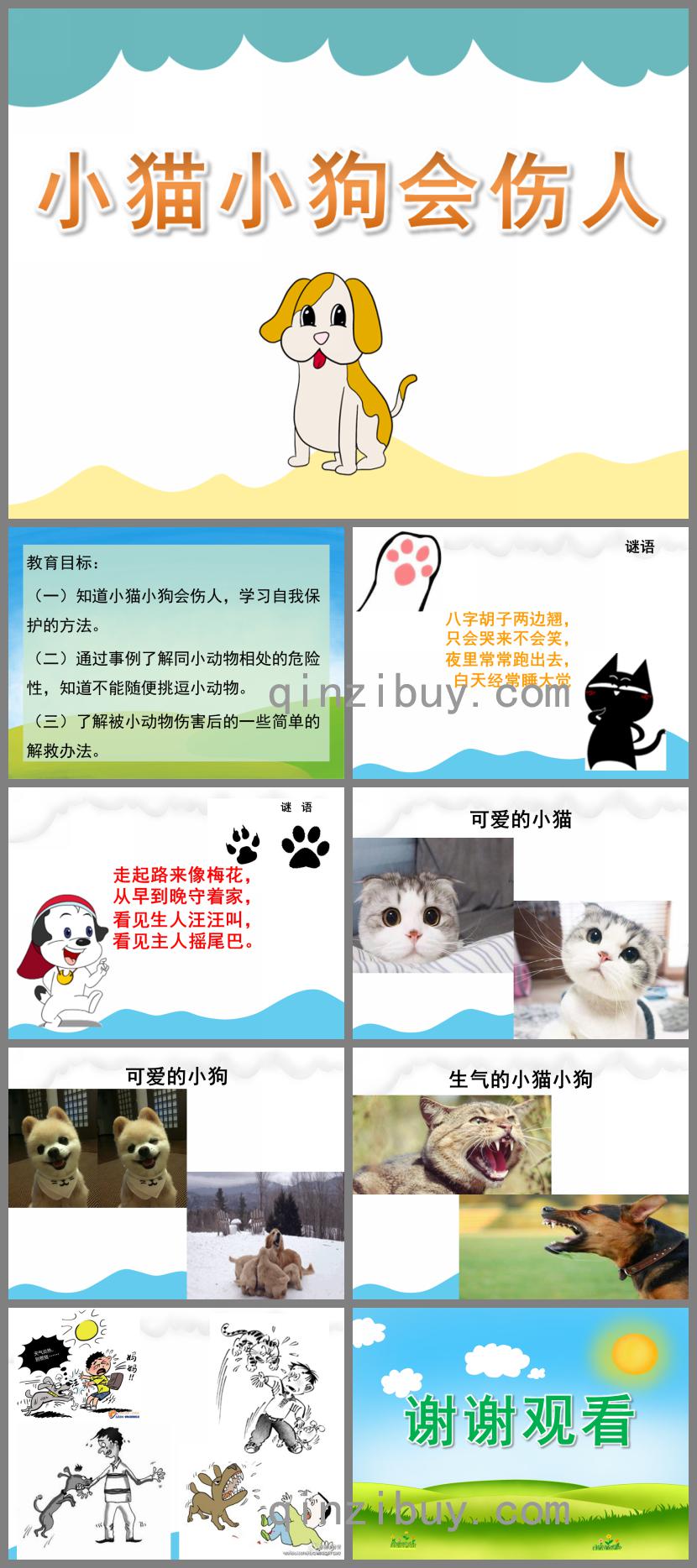 大班安全小貓小狗會傷人PPT課件