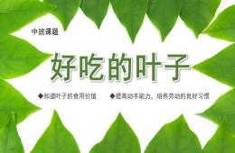 中班主題好吃的葉子PPT課件