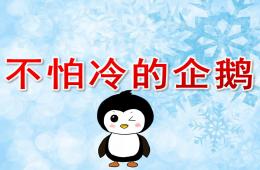 中班科學活動不怕冷的企鵝PPT課件