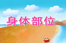 小班英語活動(dòng)身體部位PPT課件