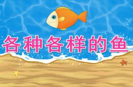 中班科學(xué)各種各樣的魚PPT課件