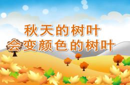 中班科學活動秋天的樹葉會變顏色的樹葉PPT課件