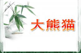 小班繪畫大熊貓PPT課件