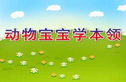 中班科學(xué)動物寶寶學(xué)本領(lǐng)PPT課件