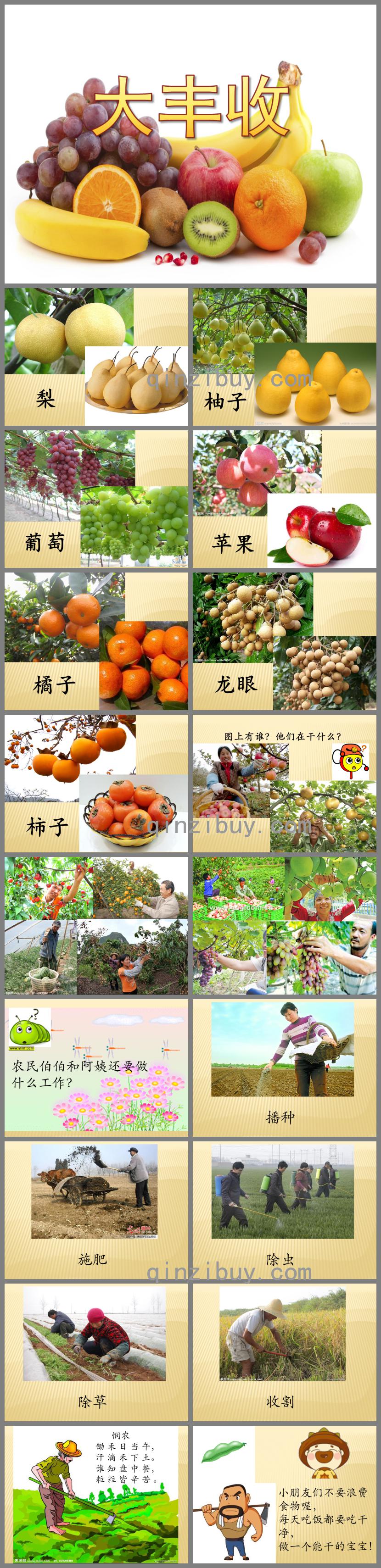 大班社會大豐收PPT課件