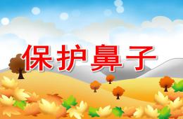 中班安全活動保護鼻子PPT課件