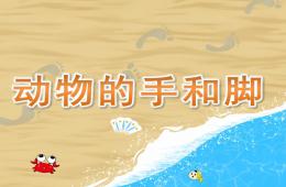 小班科學(xué)動物的手和腳PPT課件