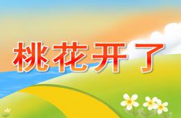 小班科學(xué)桃花開了PPT課件