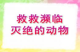 小班社會救救瀕臨滅絕的動物PPT課件