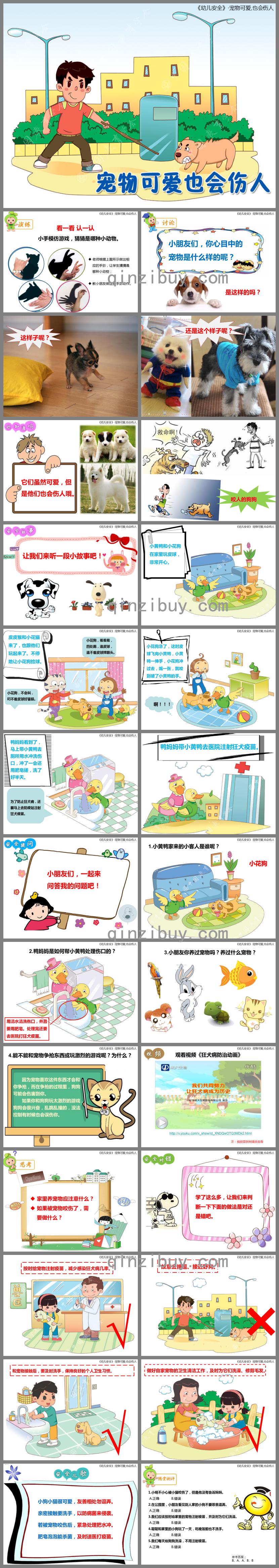 中班安全寵物可愛也會傷人PPT課件