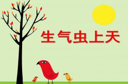 中班社會公開課生氣蟲飛上天PPT課件