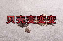 小班美術(shù)藝術(shù)活動貝殼變變變PPT課件