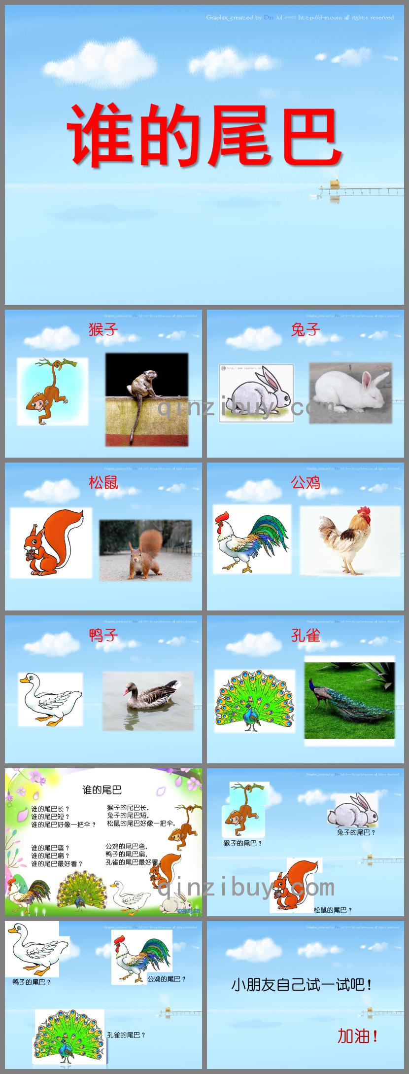 幼兒園語言教育活動(dòng)誰的尾巴PPT課件