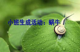 小班活動蝸牛PPT課件