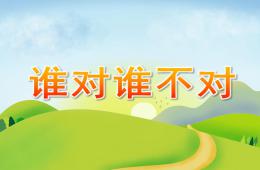 中班社會誰對誰不對PPT課件