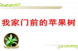 大班主題我家門前的蘋果樹PPT課件