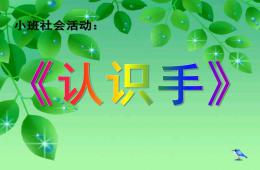 小班社會認識手PPT課件