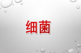 小班健康細(xì)菌PPT課件