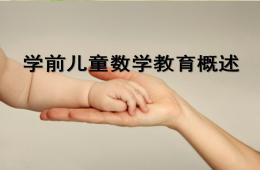 幼兒園學前兒童數學教育的意義PPT課件
