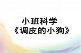 小班科學調皮的小狗PPT課件