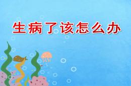 大班健康生病了該怎么辦PPT課件音頻