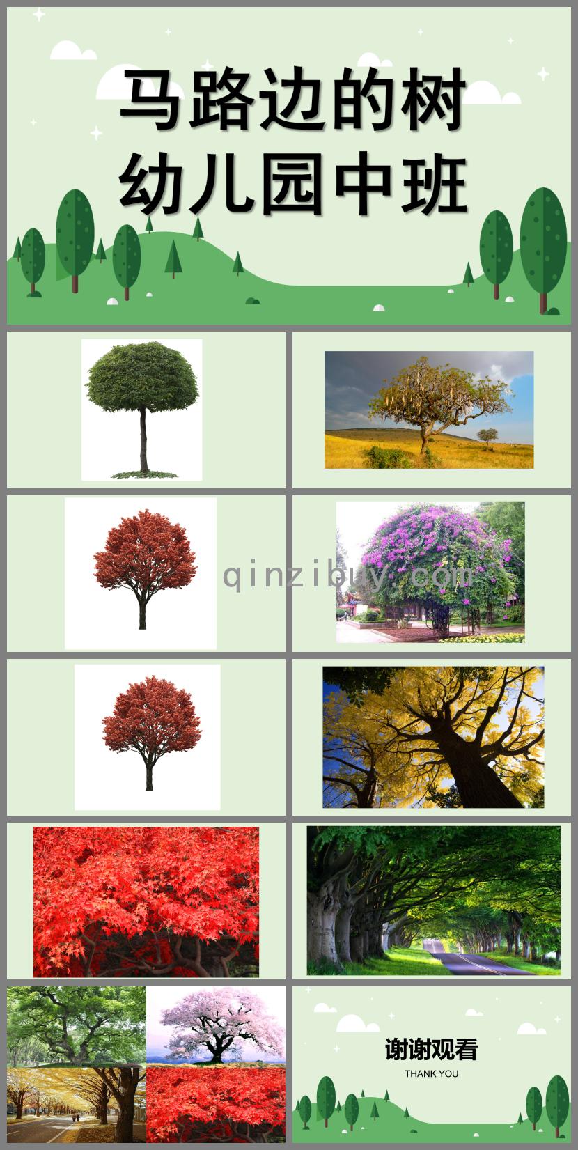 中班繪畫馬路邊的樹PPT課件