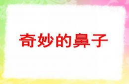 大班綜合健康奇妙的鼻子PPT課件