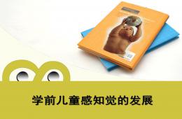 幼兒園學(xué)前兒童感知覺的發(fā)展的PPT課件