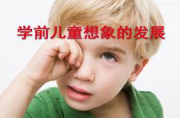 幼兒園學前兒童想象發展(教學版)PPT課件