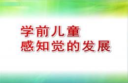 幼兒園學前兒童感知覺的發展的PPT課件