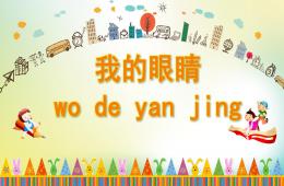 大班健康我的眼睛PPT課件
