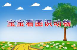 學前語文寶寶看圖識動物PPT課件
